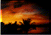 sunset3.gif (167753 bytes)
